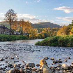 Langholm 4 cottages