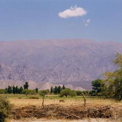 Tafí del Valle 17 cabins