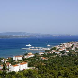 Tkon 7 of the homestays