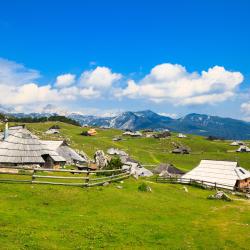 Stahovica 19 hotel