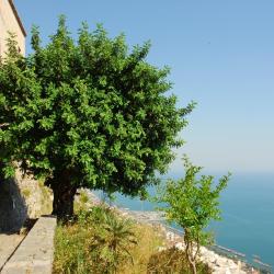 Policastro Bussentino 9 strandhotels