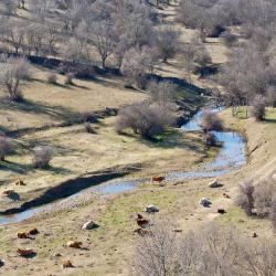 Buitrago del Lozoya 5 cheap hotels