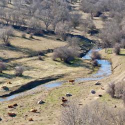 Buitrago del Lozoya 5 self catering accommodation