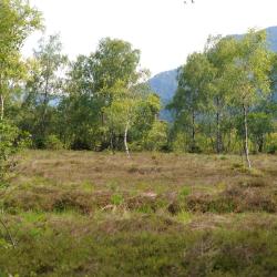 Grassau 3 ville