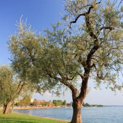 Bardolino 9 guest houses
