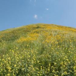 Möhlin 3 apartments