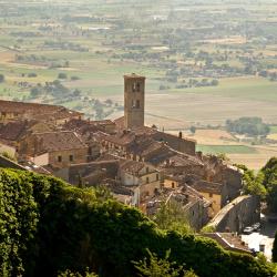 Cortona 701 hotels