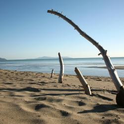 Follonica 189 hotels with parking