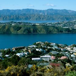 Lower Hutt 3 penziony