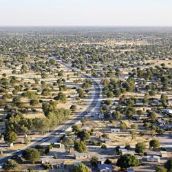Maun