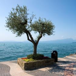 Lazise 8 campgrounds