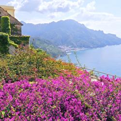 Cannaverde - Amalfi Coast Camp, Maiori (updated prices 2026)