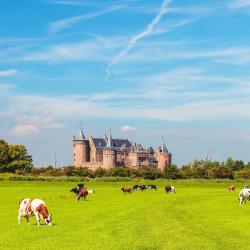 Muiden 3 hotel con parcheggio