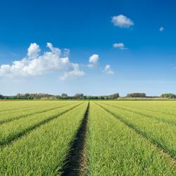 Kraggenburg 6 hot&eacute;is com estacionamento