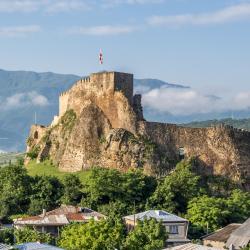 Surami 4 holiday rentals