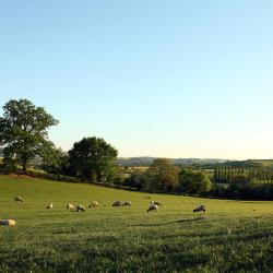 Aynho 3 holiday homes