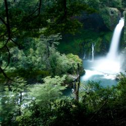 Reserva Biológica Huilo Huilo 4 chalets de montaña