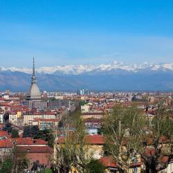 Borgaro Torinese 4 hotels