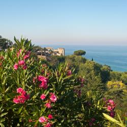 Vasto 307 hotels