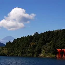 箱根町 4軒のシャレー