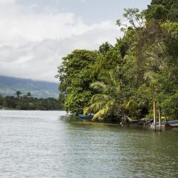 Rio Dulce 6 hytter