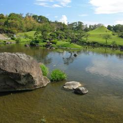 Kumamoto 137 hotels with parking