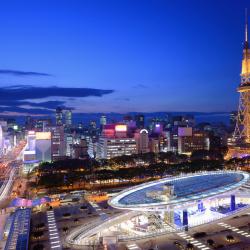 名古屋 63家乡村别墅