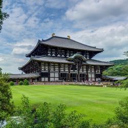 Nara 19 of the ryokans