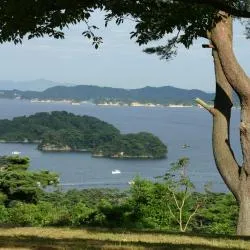 仙台市 5軒のゲストハウス