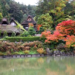 高山 102家乡村别墅