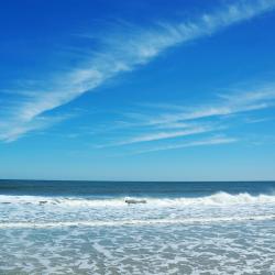 Amelia Island 92 hotels