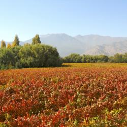 Rengo 4 kh&aacute;ch sạn c&oacute; chỗ đậu xe