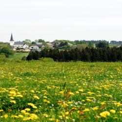 Manderfeld 4 holiday rentals