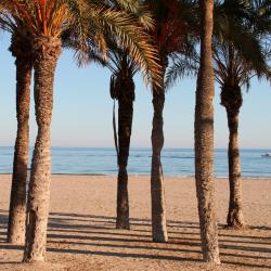 Benicàssim 138 Unterkünfte zur Selbstverpflegung