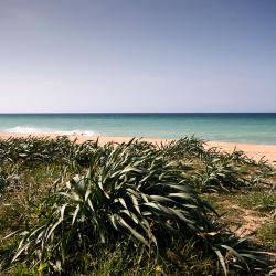 Chiclana de la Frontera 4 country house