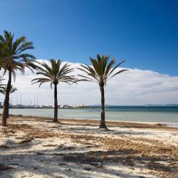 El Arenal 14 all-inclusive stays