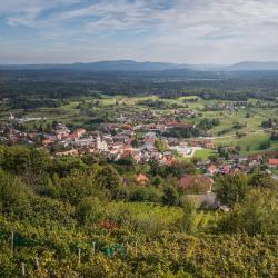 Semič 11 casas de temporada