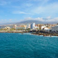 Puerto de la Cruz 516 hotels