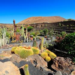 Costa Teguise 4 golf hotels