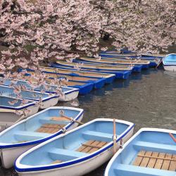 Kawagoe 38 hotels with parking
