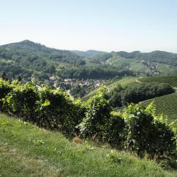 Sasbachwalden 4 penziony