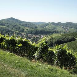 Sasbachwalden 4 maisons d'hôtes