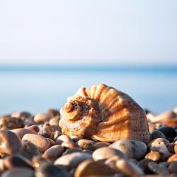 Αλισσός 4 ξενοδοχεία
