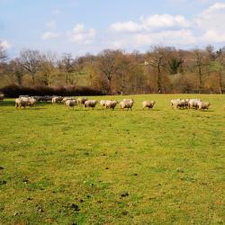 Bessines-sur-Gartempe 3 bed and breakfast