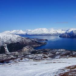 Årøybukta 1 khách sạn