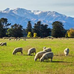 Mount Hutt 3 family hotels