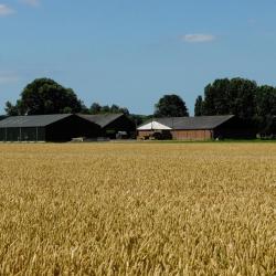 Noordgouwe 6 Übernachtungsmöglichkeiten