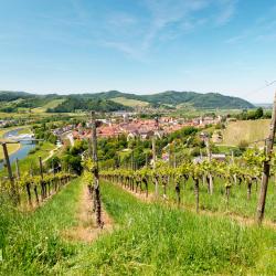 Gengenbach 4 hot&eacute;is com piscina