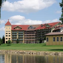 Birch Run 9 hotelů