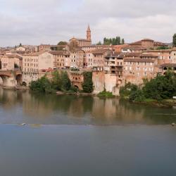 Albi 39 cottages